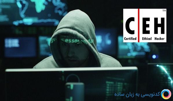 یک هکر قانونی یا کلاه سفید به چه مهارتهایی نیاز دارد؟